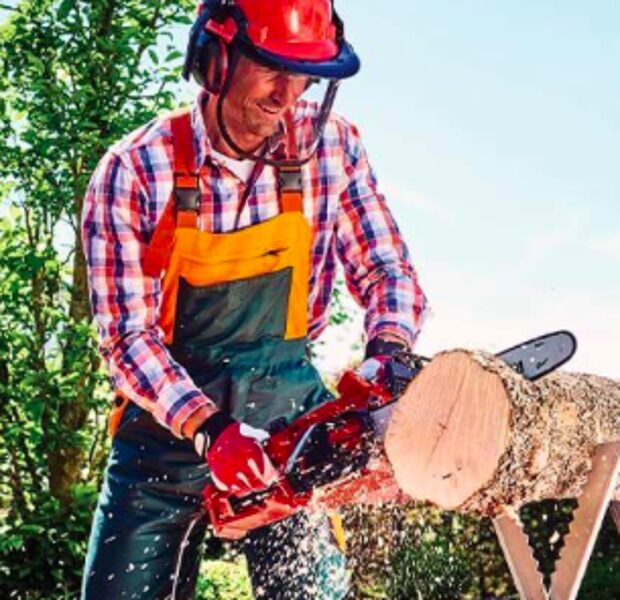 MOTORZĀĢI akumulātora