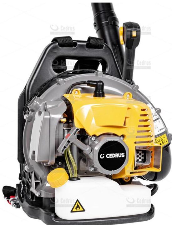 Lapu pūtējs Cedrus DM04