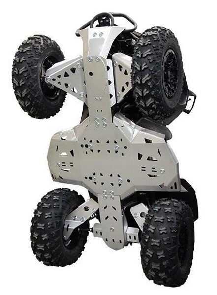 CanAm G2 Renegade (2017-2018)